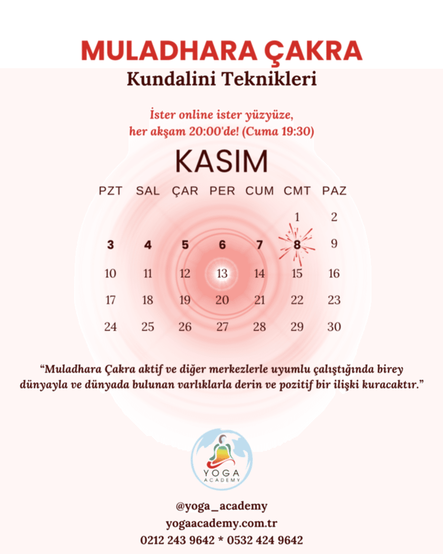 ÇAKRA ÇALIŞMALARI