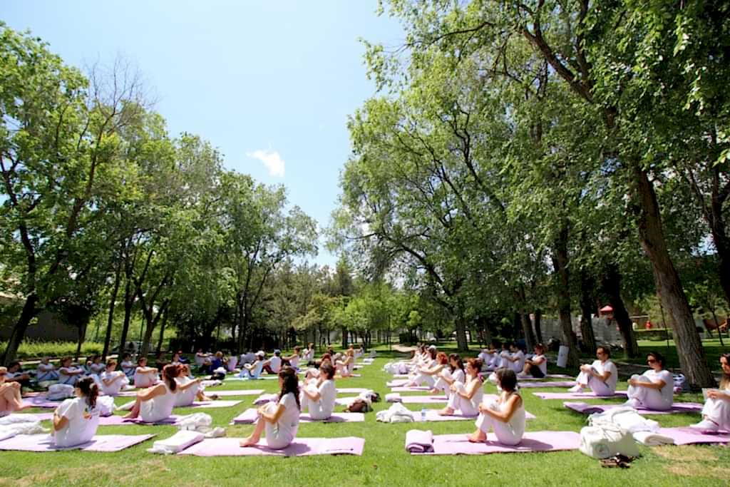 Çakra Enerji Merkezi Çalışmaları