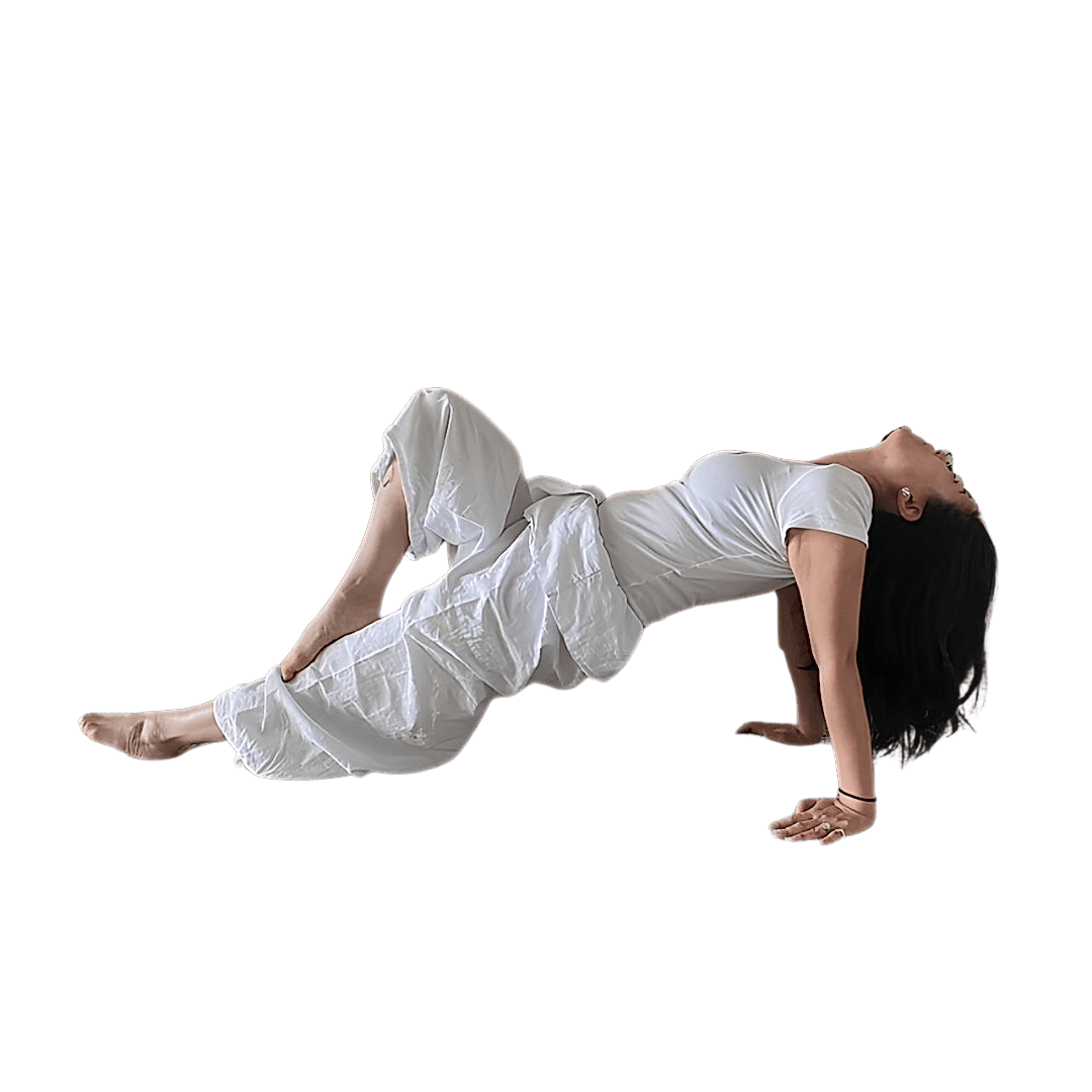 MERIT SOLARAH AUREONG